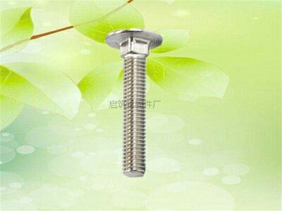 河北啟筑緊固件廠(chǎng)